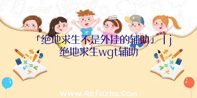 「绝地求生不是外挂的辅助」|j绝地求生wgt辅助